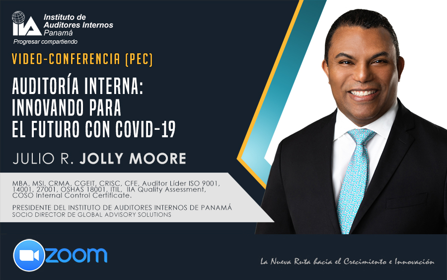 Video-Conferencia (PEC): Auditoría Interna - Innovando para el Futuro con COVID-19