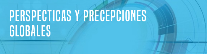 Perspectivas y Percepciones Globales